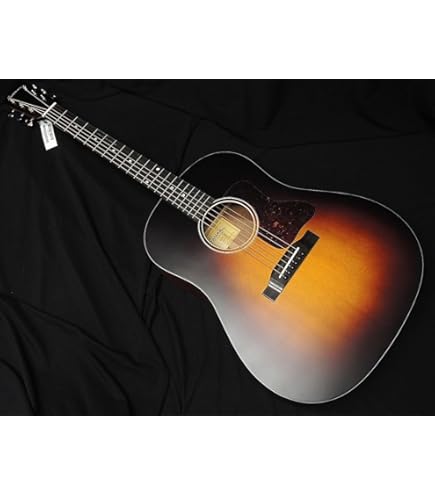 ARIAフィッシュマン アコースティックギター ブラック ARIAフィッシュマン アコースティックギター ブラック