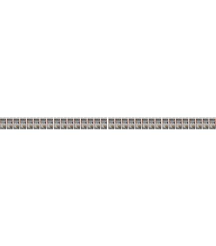 Amazon | JACKALL(ジャッカル) 22 BIN-BIN STICK EXTRO BXS-C511UL