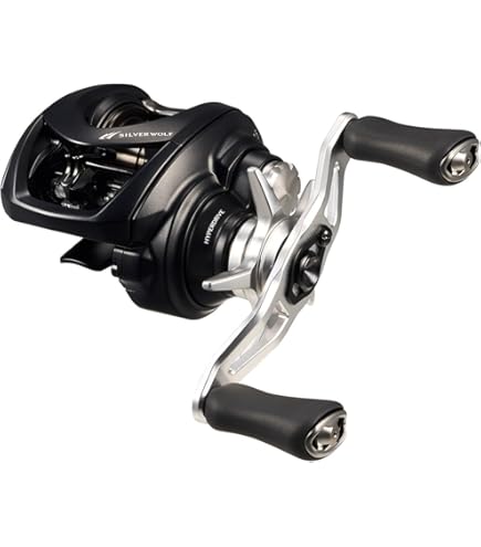 Amazon | ダイワ(DAIWA) ベイトリール 26スティーズ SV ライト