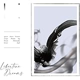 Libertine Dreams(初回限定盤)
