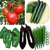 国華園　野菜たね　大満足！夏野菜5種満腹セット【※発送が国華園からの場合のみ正規品です】