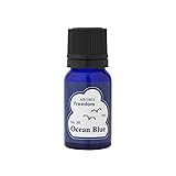 オイルブルー オーシャンブルー 8ml 【HTRC2.1】