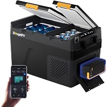 Amazon.co.jp: 【リン酸鉄バッテリー内蔵可能・専用バッテリー 1 個