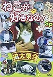 ねこが好きなの!猫大集合 ねこ(猫)ざ ランドSP [DVD]