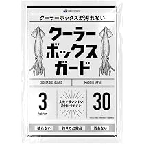 Amazon | 伸和(SHINWA) ホリデーランドクーラー27H 27H ホワイト