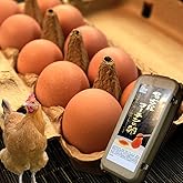 心も満たす、濃厚な味わい。愛知が誇るブランド卵 名古屋コーチンの卵【30個入り(27個入り＋3個破卵保障)】遺伝子組換え飼料不使用・科学飼料、添加物不使用の自家配合飼料を与えているこだわりの安心卵を養鶏場から食卓へ！養鶏場直送でしか味わえない鮮度をお