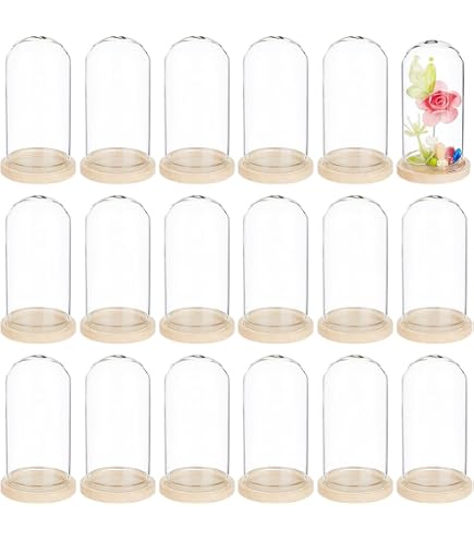 Amazon.co.jp: SUNNYCLUE 1箱10個 70mm ガラス ドーム ガラス瓶 容器