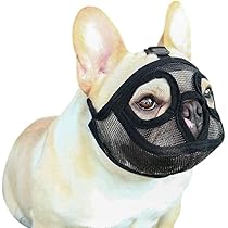 mさん専用　フレンチブルドッグ　2点 MARS（ペット用品、食品） プロマネージ 成犬用 フレンチ
