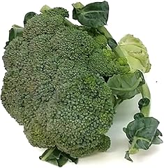 熊本産など ブロッコリー1株