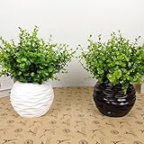 Kicode 植物の装飾 庭の人工葉 植物ラン 花 室内装飾