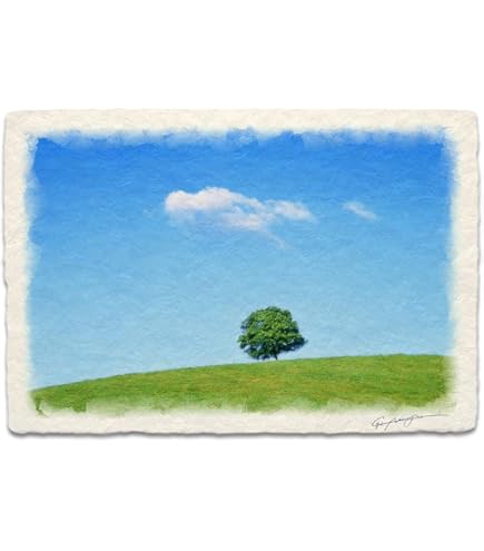 Amazon.co.jp: 絵画 版画 葉祥明（ ようしょうめい ）・はちぞうのぼく