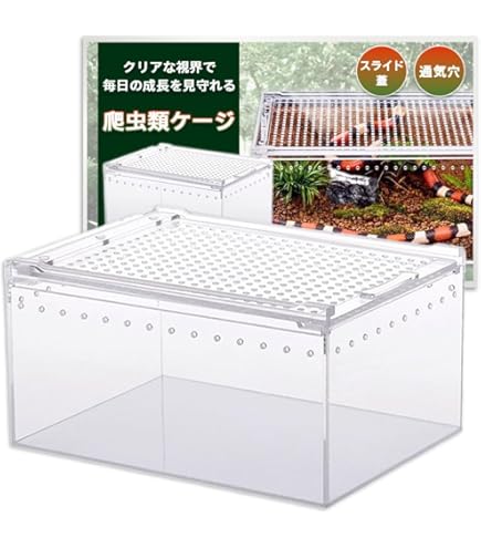 レプタイルボックス　レプボ　6個 Amazon | 三晃商会 SANKO レプタイルボックス | Sanko | 飼育