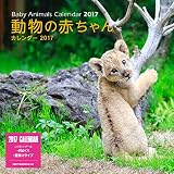 動物の赤ちゃんカレンダー2017 壁掛け(ミニ) ([カレンダ-])