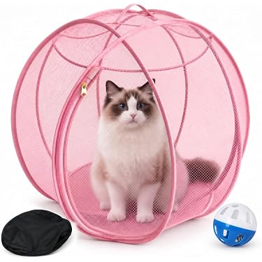 Amazon.co.jp 最新リリース: 小動物用ケージ・アクセサリ の新着