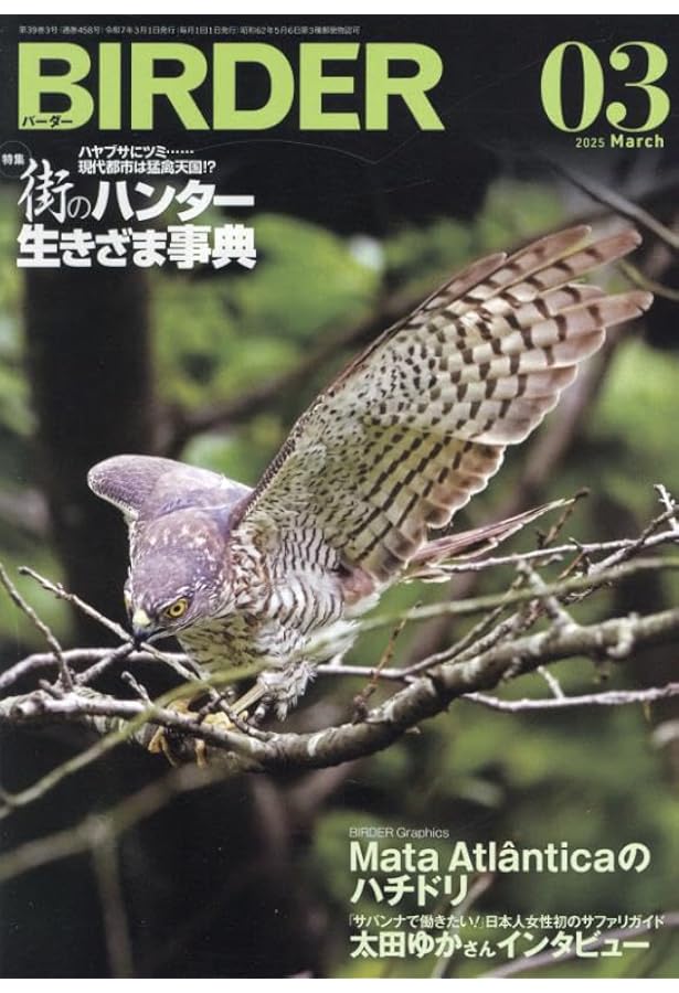美品【BIRDER 】2023年 BIRDER 2023年 09 月号 [雑誌] |本 | 通販 | Amazon