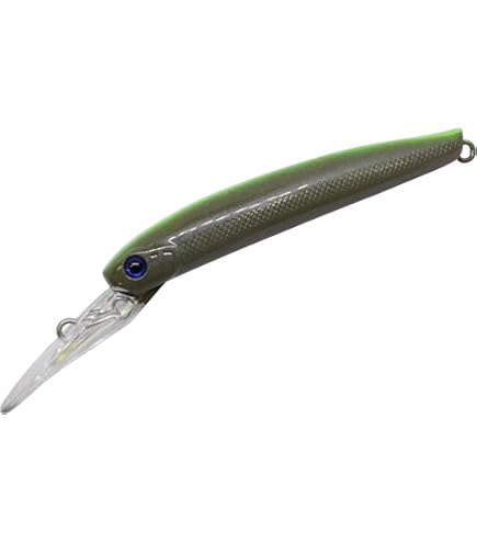 Amazon.co.jp: DAYSPROUT ディスプラウト イーグルプレーヤー 50