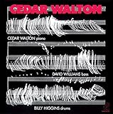 �V�_�[�E�E�H���g��(���Ԍ��艿�i��)