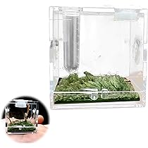 Amazon | EsiFare ミニ爬虫類 5.2*5.2*5.2cm 蜘蛛 ケージ 飼育