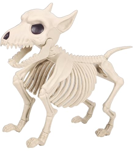 Amazon.co.jp: Supremask スケルトン猫 プラスチック しゃがみ座り座る