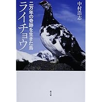 ライチョウ 二万年の奇跡を生きた鳥 ライチョウ』中村浩志著 - 田舎の本屋さん