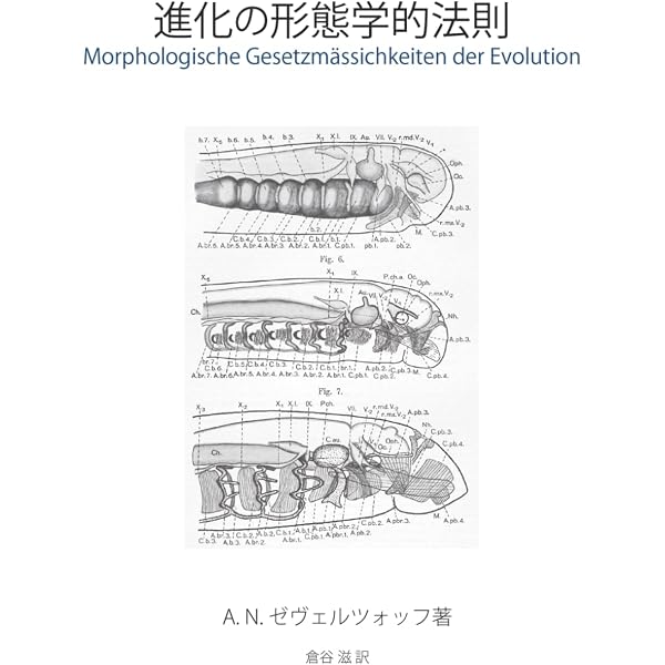 Amazon.co.jp: 新版 動物進化形態学 (Natural History) : 倉谷 滋: 本