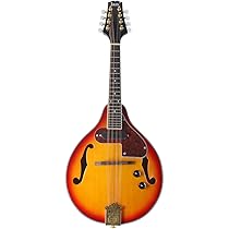 美品　フラットマンドリン　IRIN セット 2025-02-