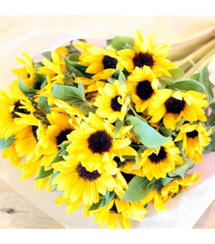 Amazon｜ひまわり10本の花束 母の日・お誕生日お祝 記念日などに