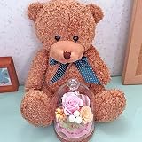 【即日出荷】茶くま&コルクドームプリザーブドフラワー★パステルローズ (茶, パステル) 【お祝い 誕生日 母の日 ギフト】