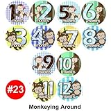 MONKEY AROUND Baby Month Onesie Stickers Baby Shower Gift Photo Shower Stickers, baby shower gift by