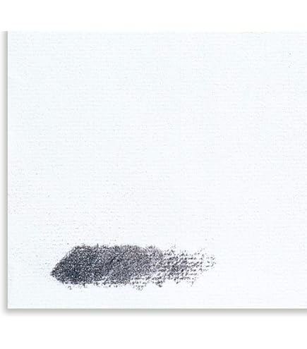 Amazon.co.jp: アルシュ社製 木炭紙 MBM 特厚口130g 500×650mm 10枚組