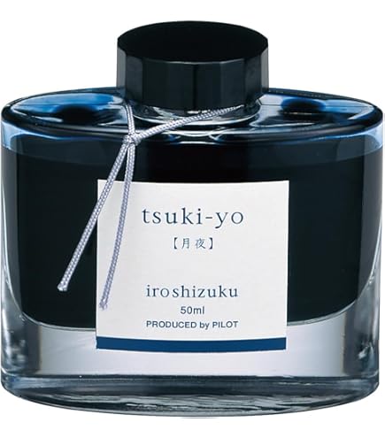 Amazon.co.jp: パイロット 万年筆 カスタム845 FKV5MRBF 細字 黒