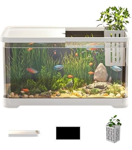Amazon | 水槽 アクアリウム スターターキット 一体型水槽セット