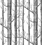 Modern Minimalist Birch Tree Pattern Waterproof Wallpaper Wall Paper Roll for Livingroom Bedroom, 20