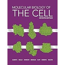 Essential Cell Biology, International Student Edition
