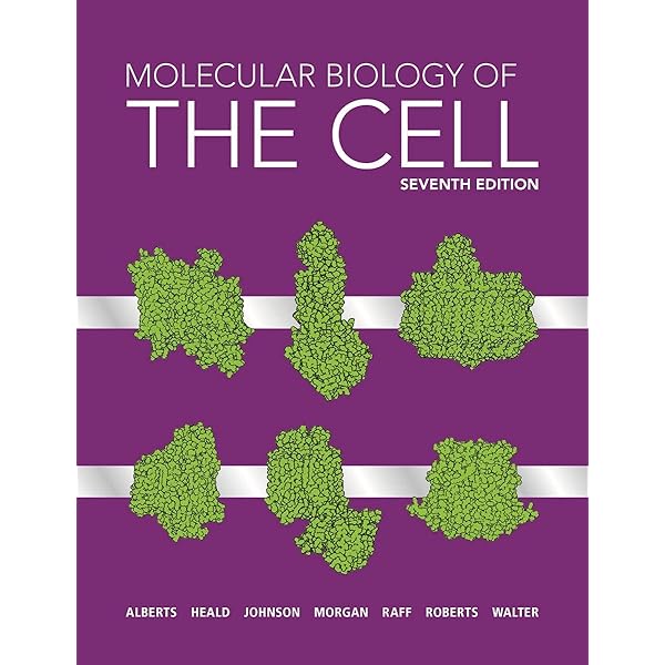 健康・医学 THE CELL The Problems Book Molecular Biology of the Cell 3E - The Problems Book: Wilson