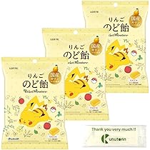 りんご飴さん専用　ポケカ2点セット りんご飴さん専用 ポケカ2点セット