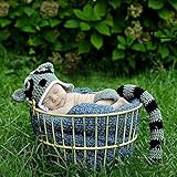 ハンドメイド 0-6ヶ月 撮影写真 ベビー 幼児 セット アライグマ 帽子+パンツ 0-8ヶ月に合う 【1点】