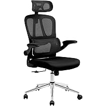 Amazon.co.jp: FLEXISPOT オフィスチェア デスクチェア OC6 人間