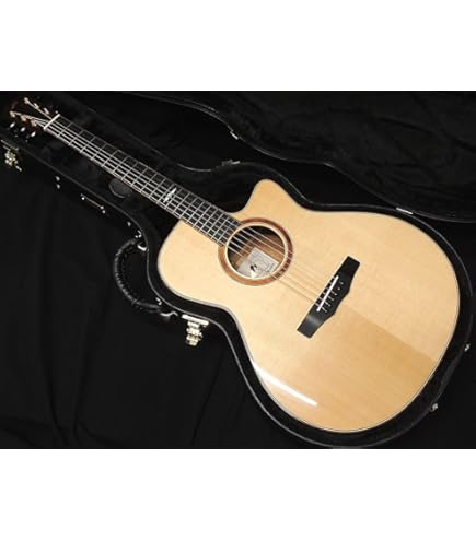 Amazon | Morris (モーリス) アコースティックギター F-LTDII NAT 日本
