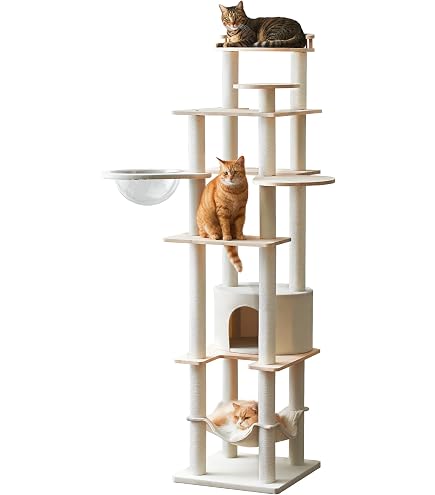 Amazon.co.jp: アニマコレ animacolle CATROAD+ キャットロードプラス