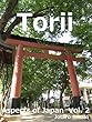 Aspects of Japan Vol. 2: Torii (English Edition)