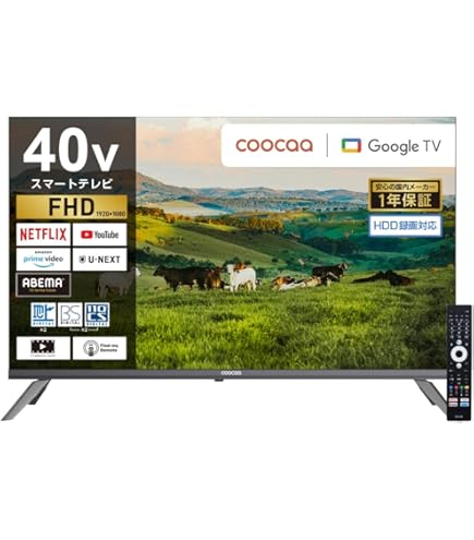 送料込⭐︎SONY BRAVIA 液晶テレビ KDL-40EX500 ソニー ブラビア40インチ KDL-40EX500 2010年式