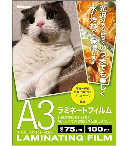Amazon | ナカバヤシ ラミネートフィルム 100枚入 303×426mm A3 LPR