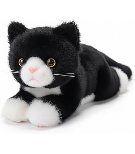 Amazon.co.jp: [AiO JAPAN] インテリア クッションで寝る猫 白黒 ネコ