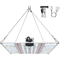 【新品】 OZWRT SS PachypodiuMan Gracilius B 新品 コラボ OZWRT SS PachypodiuMan Ambongense - メルカリ