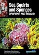 Sea Squirts and Sponges of Britain and Ireland