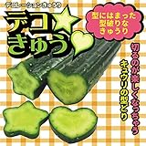 家庭菜園用 デコきゅう 2本入り ハート型 星型 各1本