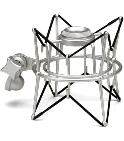 Amazon | SAMSON マイク USBコンデンサ USBケーブル 3m付属 C01U PRO