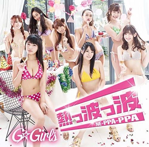 熱っ波っ波 NE-PPA-PPA(TYPE-B)