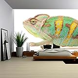 wall26 自己粘着性ウォールペーパー 大きな壁 壁画シリーズ 100"x144" WMR-WP-X-C209-100x24x6